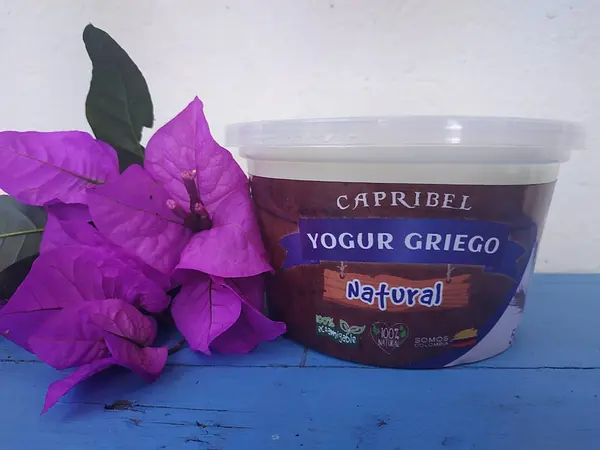 Yogurt Griego Artesanal Natural X500gr