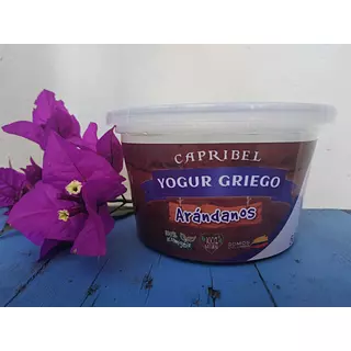 Yogurt Griego Artesanal de Arándanos X500gr