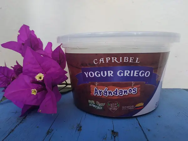 Yogurt Griego Artesanal de Arándanos X500gr