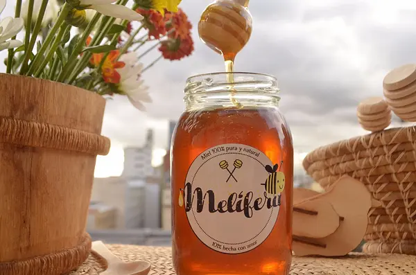Miel 100% Natural Multifloral Melífera