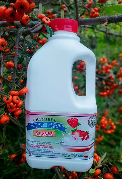 Yogurt de Fresa 100% Natural de Cabra X1000ml