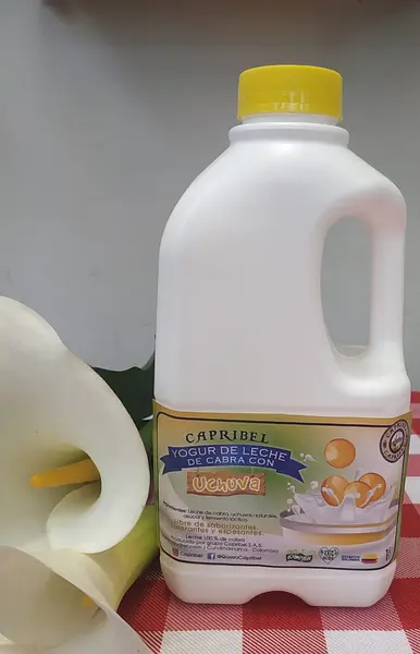 Yogurt de Ochuva 100% Natural de Cabra X1000ml