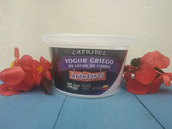 Yogurt Griego de Arandanos 100% Natural con Leche de Cabra X500gr