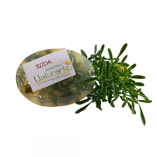 Jabón Natural de Ruda X80gr Elaborado Por Productores de Cundinamarca.