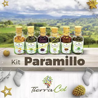 Kit de Mini Especias y Sazonadores Deshidratados Empacados de Bolsa Ecológica Derivada del Maíz, Compostable de 3 Meses.