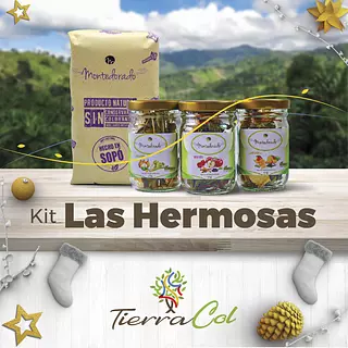 Trilogía de Infusiones Empaque Ecológico de Caña de Azúcar