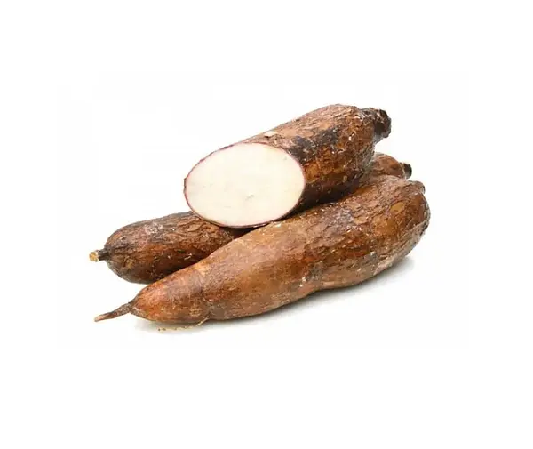 Yuca 100% Orgánica