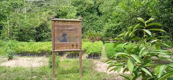 Hotel Reserva Miramar