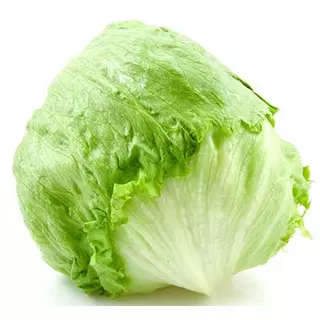 Lechuga Batavia X Unidad