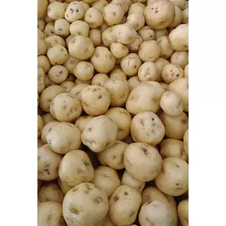 Papacriolla X 500 Gr