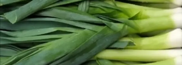 Cebolla Puerro X 500 Gr