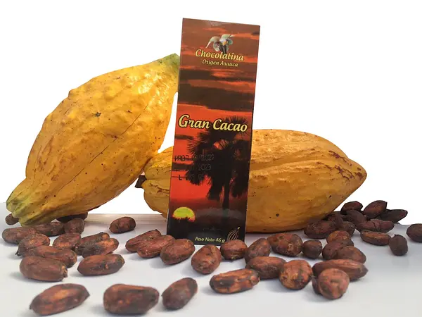 Barra De Cacao Premium Al 38% Origen Arauca Gran Cacao X 46g