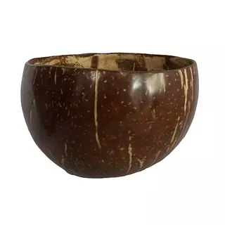 Taza Fruto De Palma De Coco