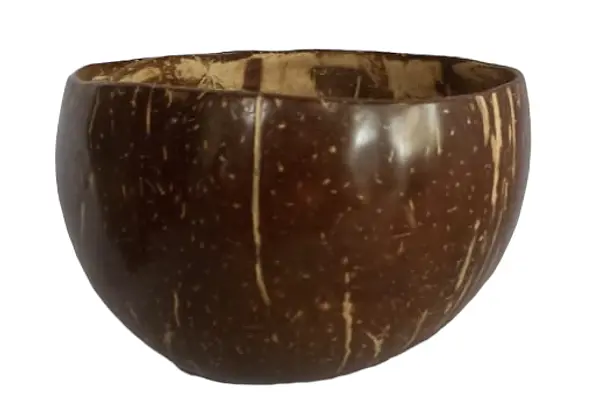 Taza Fruto De Palma De Coco