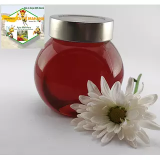 Miel De Abejas Multifloral X 200 Ml Origen Sahagun, Córdoba