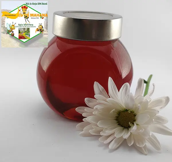 Miel De Abejas Multifloral X 200 Ml Origen Sahagun, Córdoba