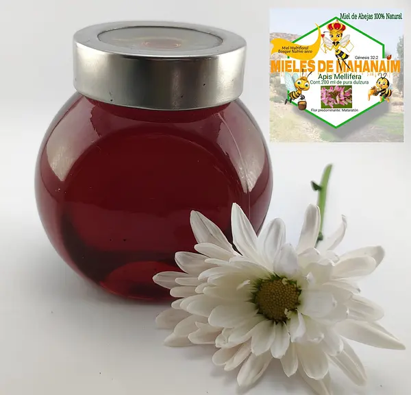 Miel De Abejas Multifloral Bosques De Marañon X 200 Ml