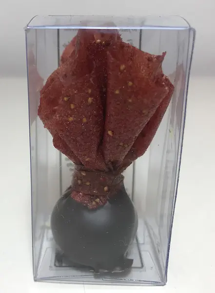 Flor de Chocolate con Frutas Tropicales Deshidratadas Tropical Passion.