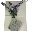 Kit De Belleza A Base De Mangostino 100% Natural -