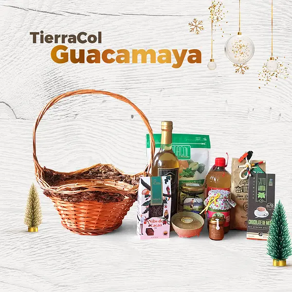 Tierracol Guacamaya